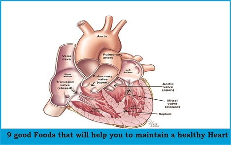 9 good Foods that will help you to maintain a healthy Heart