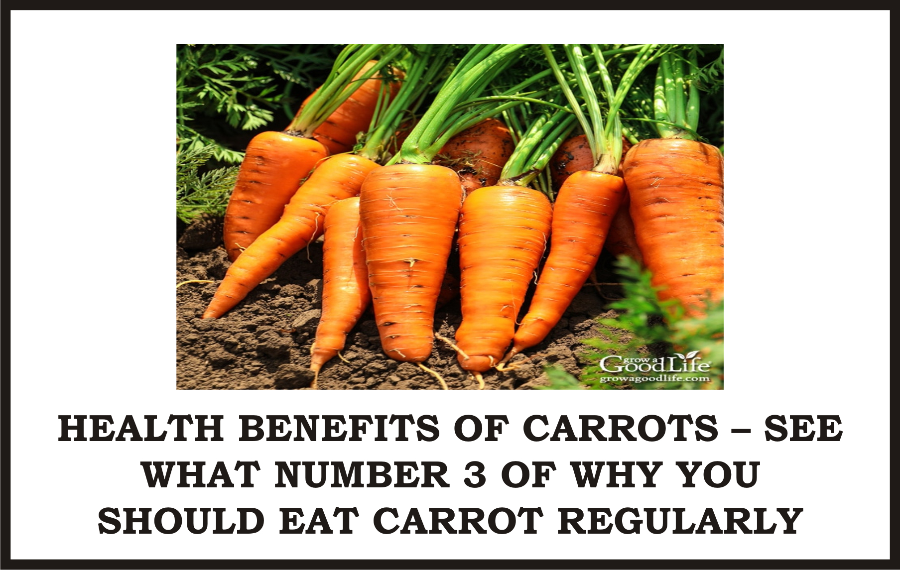 Health Benefits of Carrots – see what Number 3 of why you should Eat Carrot Regularly